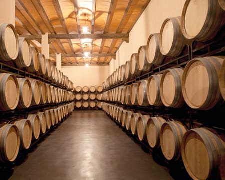Finca Los Aljibes | Petiscos Finca Los Aljibes | Petiscos