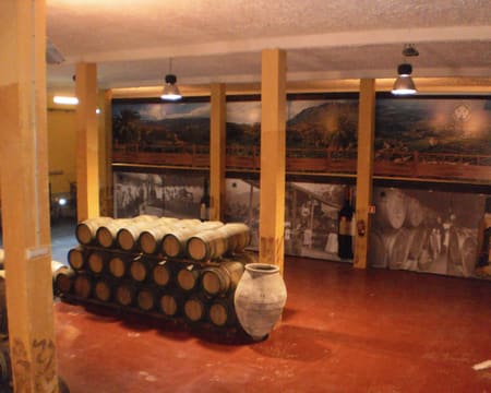 Bodegas Las Tirajanas | Petiscos Bodegas Las Tirajanas | Petiscos