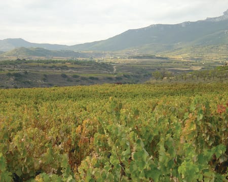 Bodega del Monge-Garbati | Petiscos Bodega del Monge-Garbati | Petiscos
