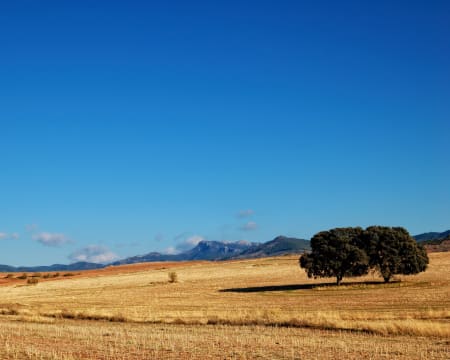 La Casona del Abuelo Parra | Estadia de 1 Noite