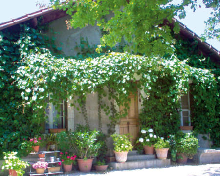 Uma Noite Em Um Quarto Duplo Standard | Le 17