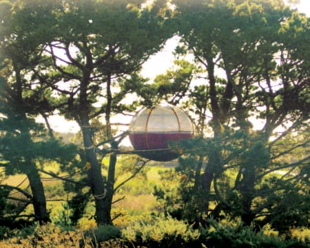 Uma Noite Em Um Ninho | Parcabout Chien Noir