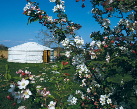 Uma Noite Em Um Yurt | La Longère Du Parc Uma Noite Em Um Yurt | La Longère Du Parc