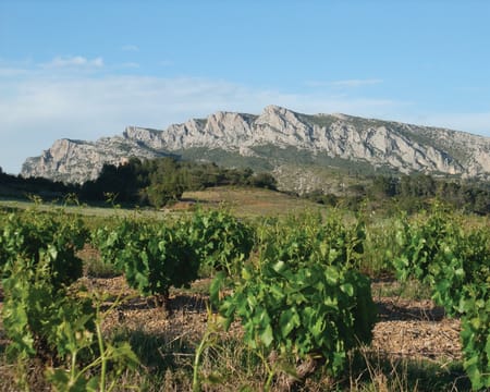 Domaine Vents du Sud | Estadia de 1 Noite com Jantar Domaine Vents du Sud | Estadia de 1 Noite com Jantar
