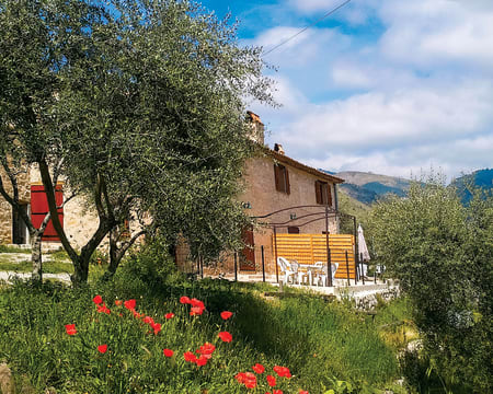 Chambres d'hôtes L'Oliveraie de la Leuzière | Estadia de 1 Noite Chambres d'hôtes L'Oliveraie de la Leuzière | Estadia de 1 Noite