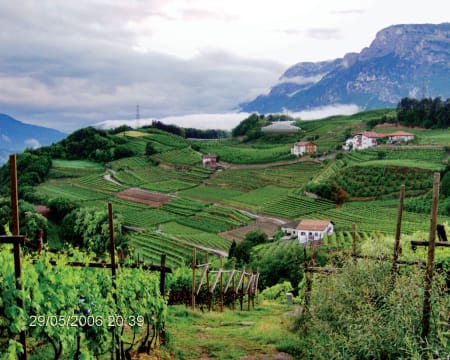 Uma Noite Em Um Quarto Duplo Standard | Agritur Maso Pomarolli