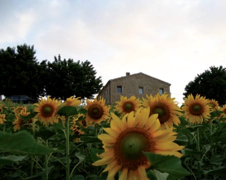 Uma Noite Em Um Quarto Duplo Standard | Agriturismo Colle Delle S