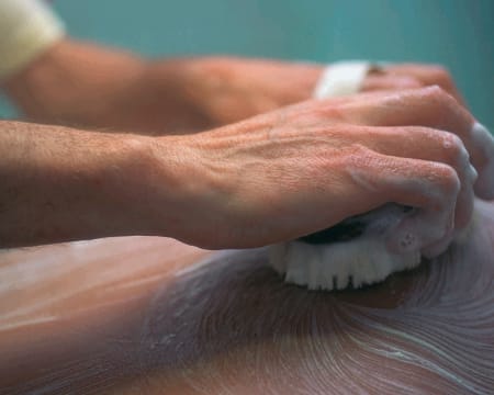 Balinea Thermen Bad Bellingen