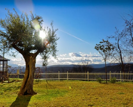 Hotel Antico Pastificio Sarubbi**** | Estadia de 1 Noite