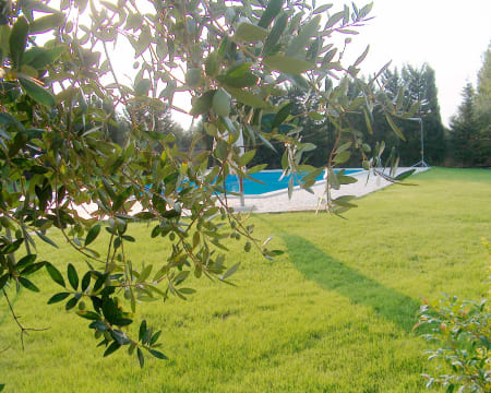 B&B Tenuta Patolicchie | Estadia de 1 Noite