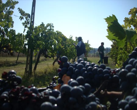 Casale le Rote | Estadia de 1 Noite