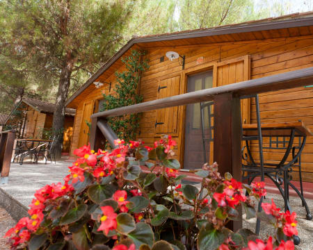 Green Village Assisi*** | Estadia de 1 Noite