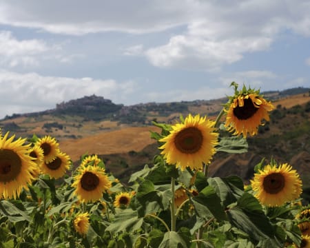 Uma Noite Em Um Quarto Duplo Superior | Locanda Degli Illustri*** Uma Noite Em Um Quarto Duplo Superior | Locanda Degli Illustri***