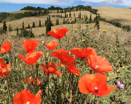 Hotel del Buono Centro Benessere***