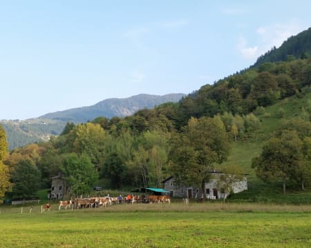 Agriturismo Stella Orobica | Estadia de 1 Noite