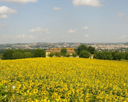B&B la Luna dal Borgo | Estadia de 1 Noite