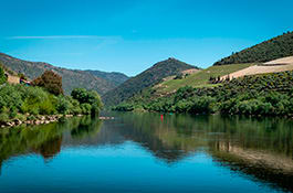 Trás-os-Montes e Alto Douro