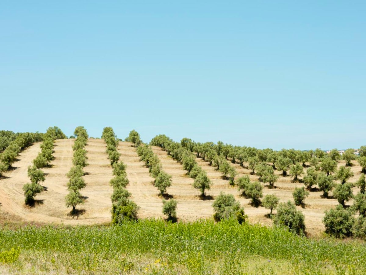 Sleep-Nature-Hotel-no-Alentejo Sleep-Nature-Hotel-no-Alentejo