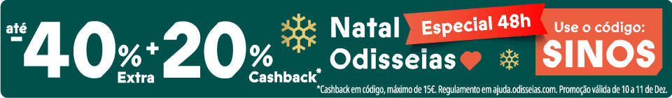 Banner campanha actual