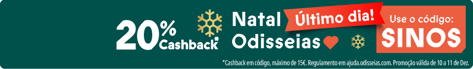 Banner campanha actual