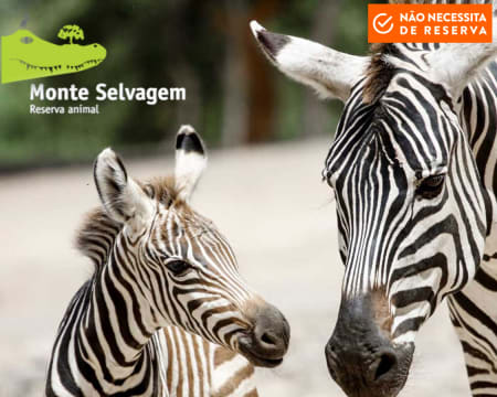 Monte Selvagem - Entrada de 2 Adultos + 1 Criança Monte Selvagem - Entrada de 2 Adultos + 1 Criança