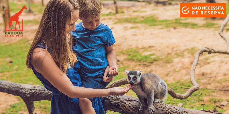 Badoca Safari Park | Entrada de Adulto + Interacção com Lémures + Rafting Africano