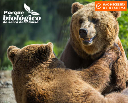 Parque Biológico da Serra da Lousã | Entrada de 4 Pessoas Parque Biológico da Serra da Lousã | Entrada de 4 Pessoas