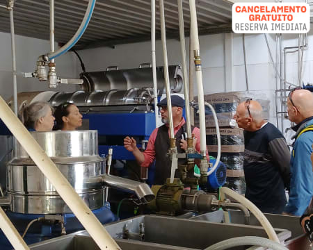 Sip and Savor Douro | Visita + Prova no Lagar de Azeite de São Mamede | 2 Pessoas