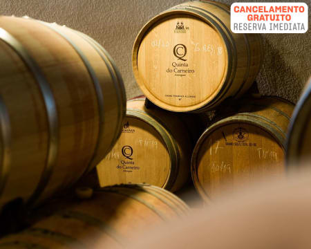 Quinta do Carneiro | Visita à Adega + Prova de 2 Vinhos Pinot + Petiscos | 2 Pessoas Quinta do Carneiro | Visita à Adega + Prova de 2 Vinhos Pinot + Petiscos | 2 Pessoas
