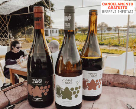 Vinhas de Nexe | Prova Trivial de 3 Vinhos c/ Azeite e Pão Regional | 2 Adultos + 1 Criança Vinhas de Nexe | Prova Trivial de 3 Vinhos c/ Azeite e Pão Regional | 2 Adultos + 1 Criança