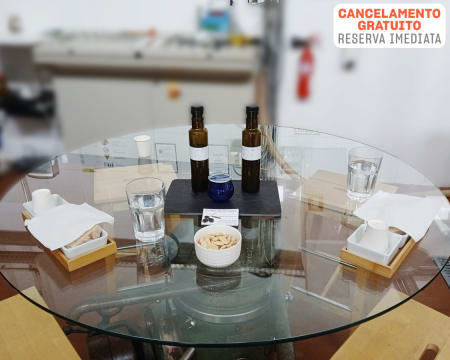Sip and Savor Douro | Prova Sensorial e Visita ao Lagar de Azeite | 2 Pessoas Sip and Savor Douro | Prova Sensorial e Visita ao Lagar de Azeite | 2 Pessoas