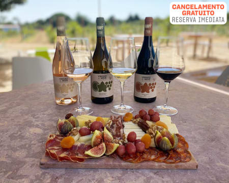 Vinhas de Nexe | Prova Primorosa de 4 Vinhos + Visita Guiada + Tapas | 2 Pessoas Vinhas de Nexe | Prova Primorosa de 4 Vinhos + Visita Guiada + Tapas | 2 Pessoas