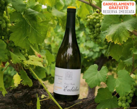 Casa Santa Eulália | Prova de 4 Vinhos Brancos + Visita à Adega | 1 Pessoa Casa Santa Eulália | Prova de 4 Vinhos Brancos + Visita à Adega | 1 Pessoa