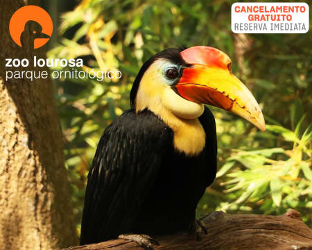 Zoo de Lourosa - Único Parque Ornitológico do País | Entrada de 2 Adultos + 2 Crianças Zoo de Lourosa - Único Parque Ornitológico do País | Entrada de 2 Adultos + 2 Crianças