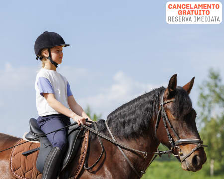 Domine a Arte de Andar a Cavalo em Matosinhos! Aulas e Passeio a Cavalo para Crianças e Adultos | Ekitop Clube Domine a Arte de Andar a Cavalo em Matosinhos! Aulas e Passeio a Cavalo para Crianças e Adultos | Ekitop Clube
