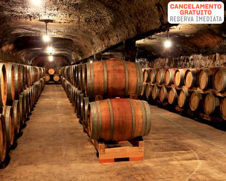 Visita à Propriedade + Prova de 3 Vinhos para Dois | Caves Primavera - Águeda