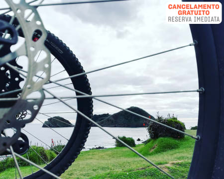 Aluguer de Bicicleta à Escolha na Ilha de São Miguel! 1 ou 2 Pessoas | City Bikes, MTB & E-MTB | AzorOnBike Aluguer de Bicicleta à Escolha na Ilha de São Miguel! 1 ou 2 Pessoas | City Bikes, MTB & E-MTB | AzorOnBike