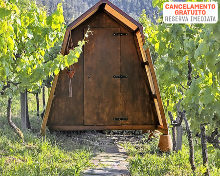Cimo da Vinha - Castelo de Paiva | Estadia Insólita em Glamping Perto dos Passadiços do Paiva & Opção Jantar