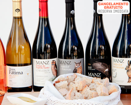 Prova de Vinhos Premium + Visita a Adega e Museu | 2 ou 4 Pessoas | 1h30 | Vila de Cheleiros - Mafra