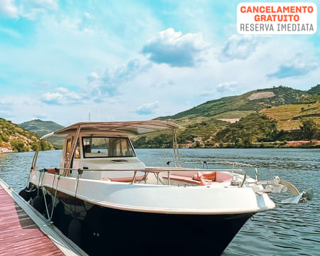 Passeio de Barco & Prova de Azeites & Visita ao Lagar e Almoço c/ Degustação de Vinhos | FábricaDouro