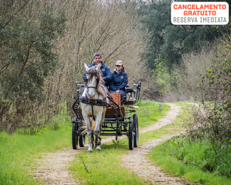 Passeio de Charrete Romântico & Baptismo a Cavalo a Dois | 2h30 | Golegã
