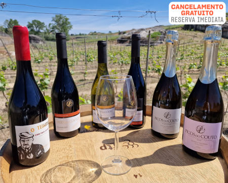 Prova de Vinhos de Colheita ou Reserva na Quinta do Serrado | 1 ou 2 Pessoas | Tavfer Vinhos - Penalva do Castelo