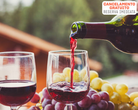 Prova de Vinhos e Produtos Regionais + Experiência de Cavalo a Dois em Alenquer | Quinta do Banco