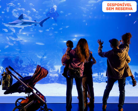 Atlantis Aquarium | Visita ao Aquário de Madrid para Toda a Família!