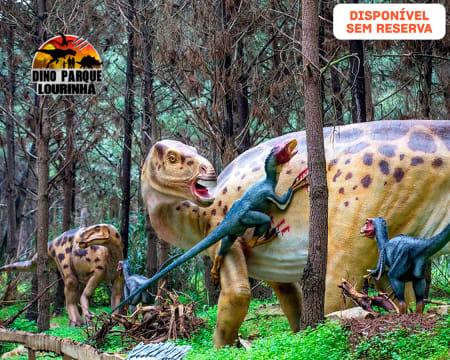 Dino Parque da Lourinhã - Uma Viagem de 400 Milhões de Anos! Entrada Criança ou Adulto