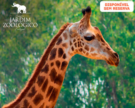 Jardim Zoológico | Descubra o Reino Animal em Família! 1 ou 2 Adultos + 1 Criança