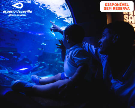 Visita ao Acuario de Sevilla em Família | Viagem Interactiva pela Volta ao Mundo de Fernão de Magalhães