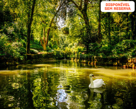 Sintra Romântica: Bilhetes para o Parque da Pena, Chalet e Terraços do Palácio
