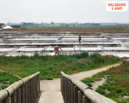 Visita Guiada às Salinas de Aveiro | Criança ou Adulto | Onda Colossal