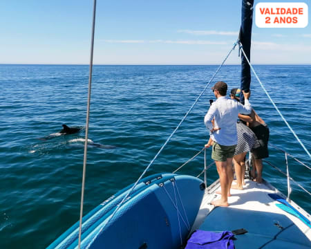 Passeio em Veleiro de Luxo no Algarve com Mergulho no Mar | 2h30 | Algarve Sea Sights - Vilamoura